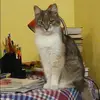 Отзыв от Елена Белова